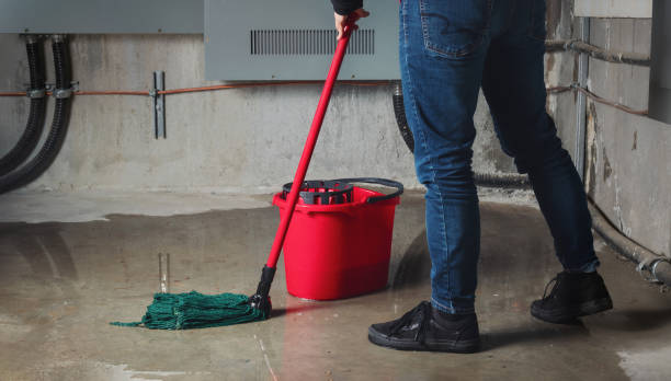 Best Sewage Cleanup and Restoration in USA